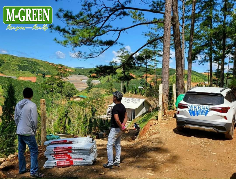 Quy trình giao nhận ngói bitum phủ đá