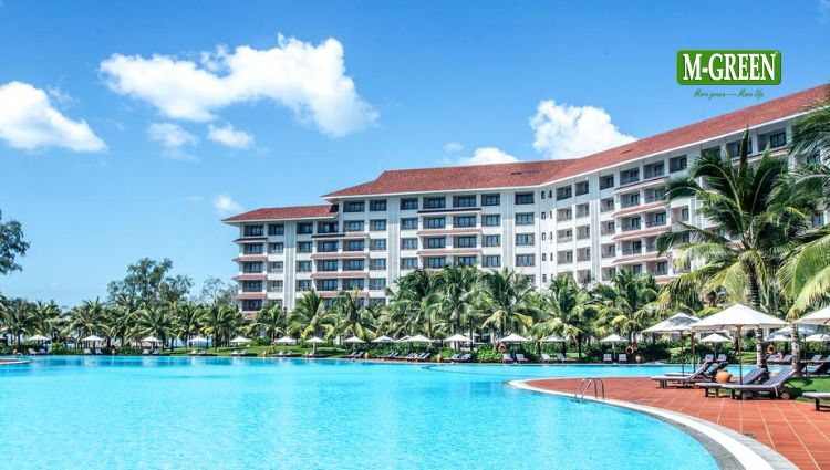 thi công ngói dán bitum